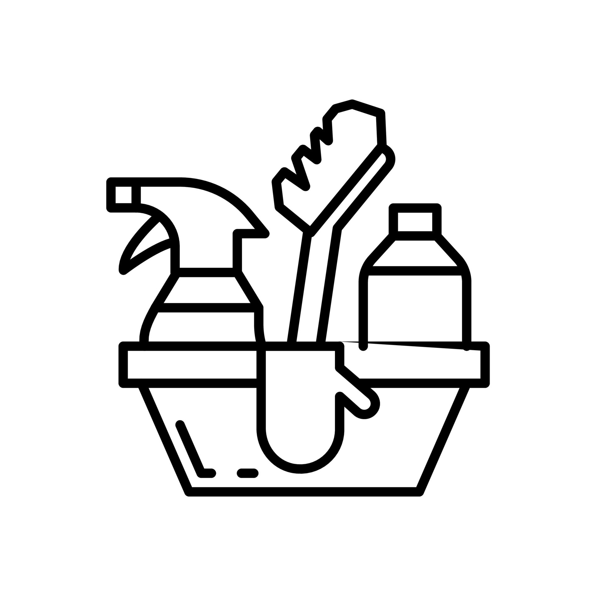 Professional Cleaning